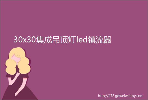 30x30集成吊顶灯led镇流器